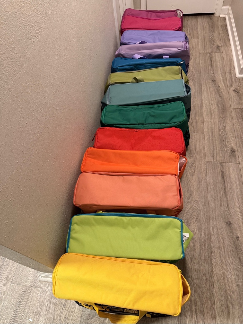 Trader Joe’s Large Insulated Bags Collector set - Picture 5 of 7